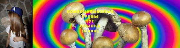 ешки Беломорск