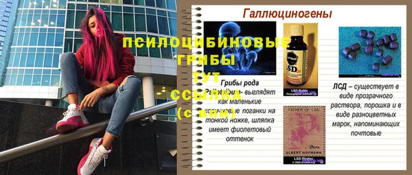 ешки Беломорск