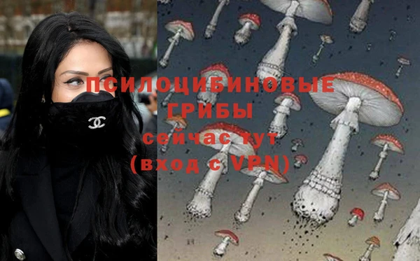 ешки Беломорск